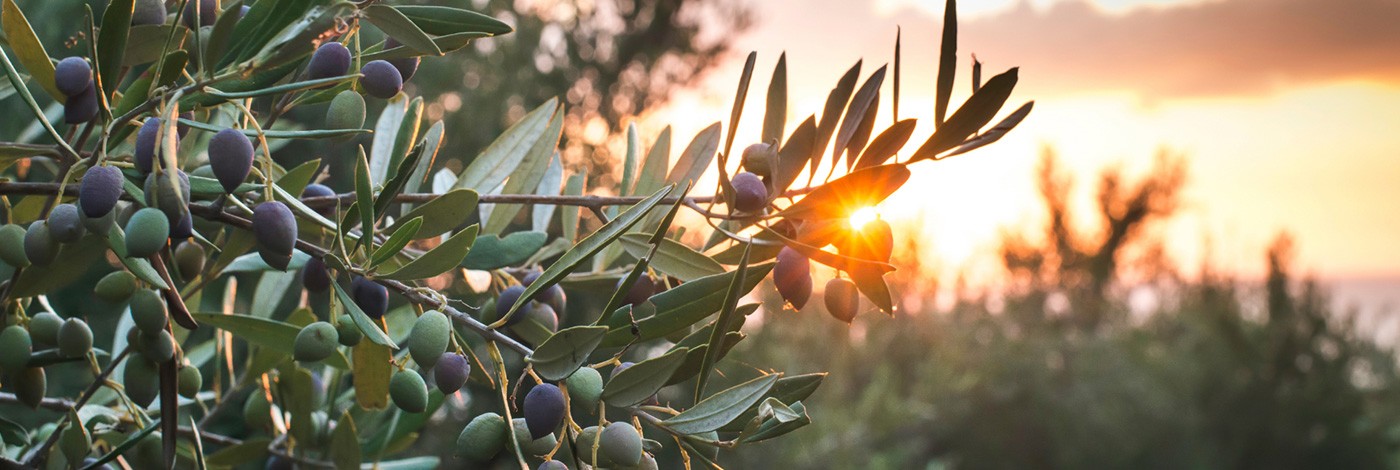 A place called Palestine!