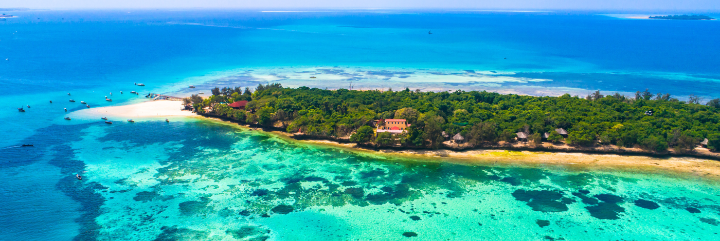 Zanzibar's Masterpiece