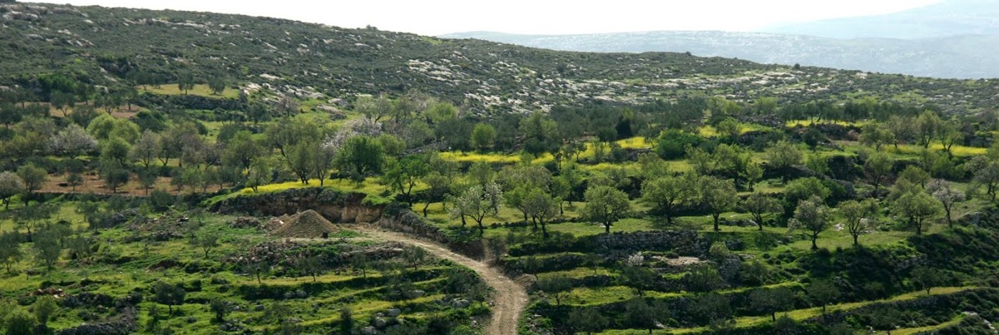 From Battir to Beit Jala