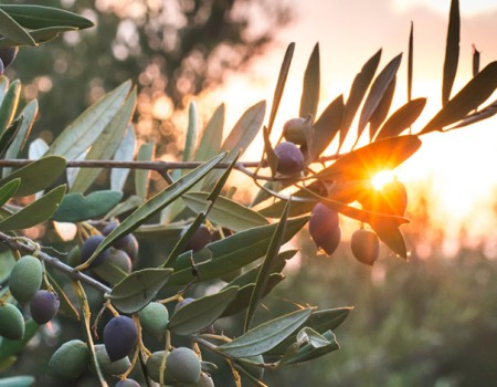 A place called Palestine!