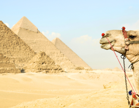 Egyptian Majesties: Cairo & Sharm El Sheikh