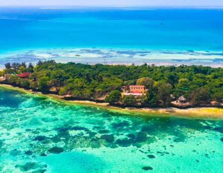 Zanzibar's Masterpiece