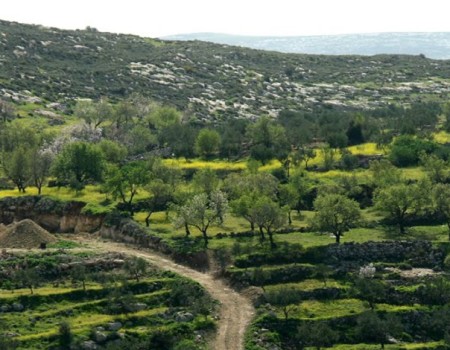 From Battir to Beit Jala